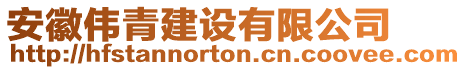 安徽偉青建設(shè)有限公司