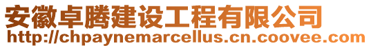 安徽卓騰建設工程有限公司