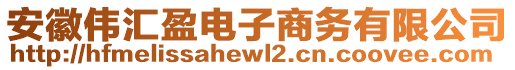 安徽偉匯盈電子商務(wù)有限公司