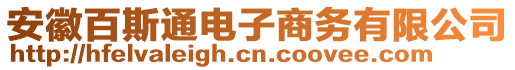 安徽百斯通電子商務(wù)有限公司