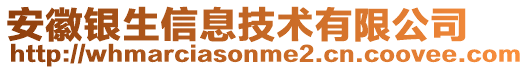 安徽銀生信息技術(shù)有限公司