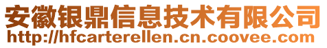 安徽銀鼎信息技術(shù)有限公司