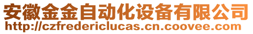 安徽金金自動化設備有限公司