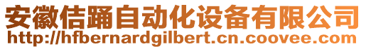 安徽佶踴自動化設備有限公司