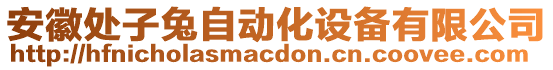 安徽處子兔自動化設(shè)備有限公司