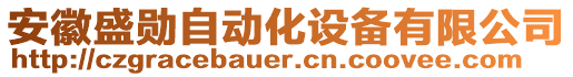 安徽盛勛自動化設備有限公司