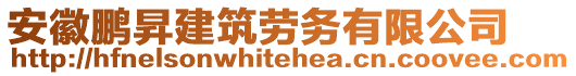 安徽鵬昇建筑勞務有限公司