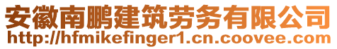 安徽南鵬建筑勞務有限公司
