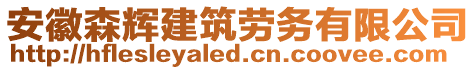 安徽森輝建筑勞務(wù)有限公司