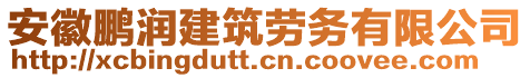 安徽鵬潤建筑勞務有限公司