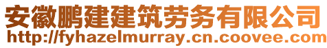 安徽鵬建建筑勞務(wù)有限公司