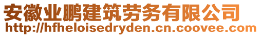 安徽業(yè)鵬建筑勞務有限公司