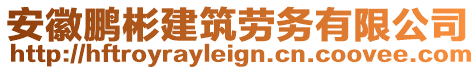 安徽鵬彬建筑勞務(wù)有限公司