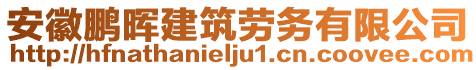 安徽鵬暉建筑勞務(wù)有限公司