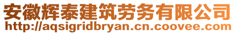 安徽辉泰建筑劳务有限公司