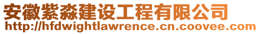 安徽紫淼建设工程有限公司