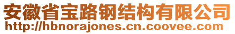 安徽省寶路鋼結(jié)構(gòu)有限公司