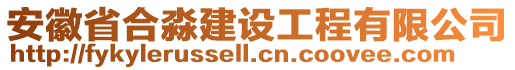 安徽省合淼建設(shè)工程有限公司