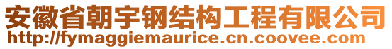 安徽省朝宇鋼結(jié)構(gòu)工程有限公司