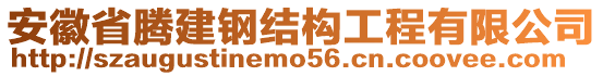 安徽省騰建鋼結(jié)構(gòu)工程有限公司