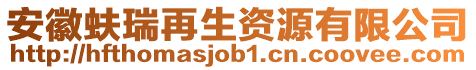 安徽蚨瑞再生资源有限公司