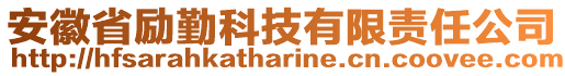 安徽省励勤科技有限责任公司