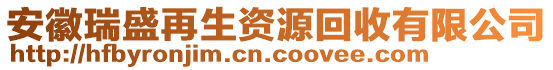 安徽瑞盛再生資源回收有限公司