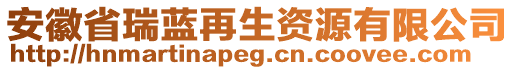 安徽省瑞藍(lán)再生資源有限公司