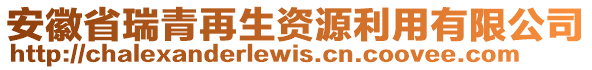 安徽省瑞青再生資源利用有限公司