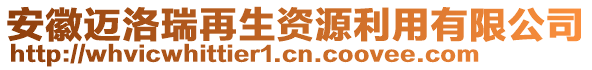 安徽迈洛瑞再生资源利用有限公司