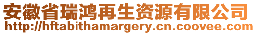 安徽省瑞鸿再生资源有限公司