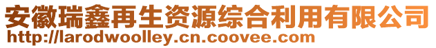 安徽瑞鑫再生資源綜合利用有限公司