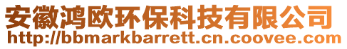 安徽鴻歐環(huán)保科技有限公司