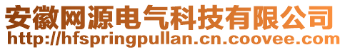 安徽網源電氣科技有限公司