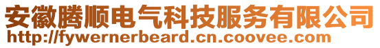 安徽騰順電氣科技服務(wù)有限公司