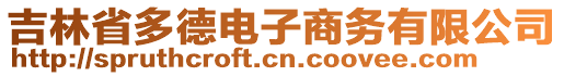 吉林省多德電子商務(wù)有限公司