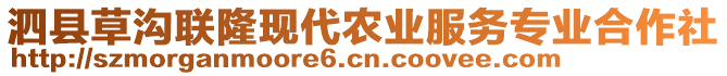 泗縣草溝聯(lián)隆現(xiàn)代農(nóng)業(yè)服務(wù)專業(yè)合作社