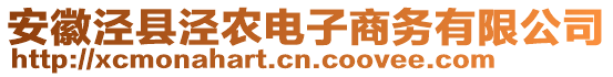 安徽涇縣涇農(nóng)電子商務(wù)有限公司