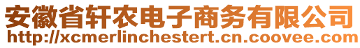 安徽省軒農(nóng)電子商務(wù)有限公司