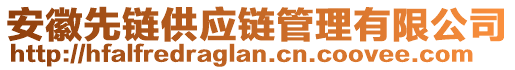 安徽先鏈供應(yīng)鏈管理有限公司