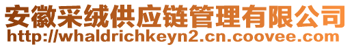 安徽采絨供應鏈管理有限公司