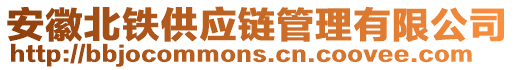 安徽北鐵供應(yīng)鏈管理有限公司