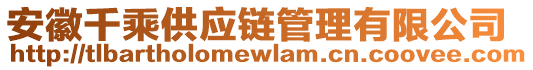 安徽千乘供應(yīng)鏈管理有限公司