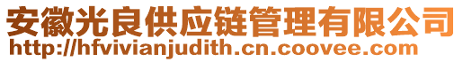 安徽光良供應鏈管理有限公司