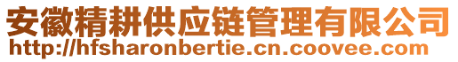 安徽精耕供應(yīng)鏈管理有限公司