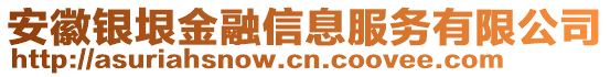 安徽銀垠金融信息服務(wù)有限公司