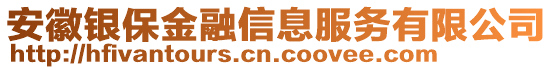 安徽銀保金融信息服務(wù)有限公司