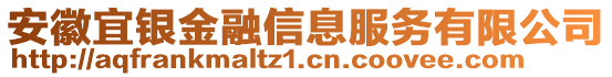 安徽宜銀金融信息服務(wù)有限公司