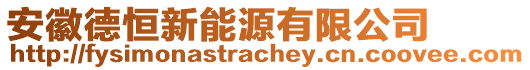 安徽德恒新能源有限公司