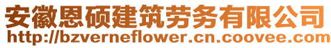 安徽恩碩建筑勞務有限公司